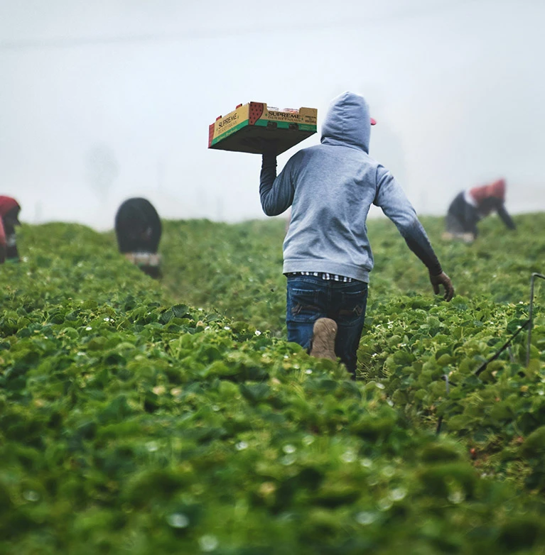 How LKKU Farms runs poultry, piggery, grazing, and fishery as part of its integrated livestock model.